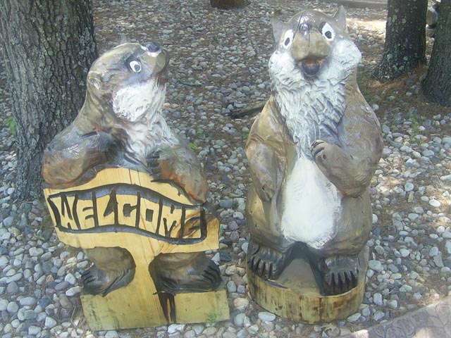 Gophers