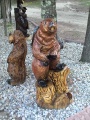 Beaver