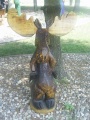 Moose